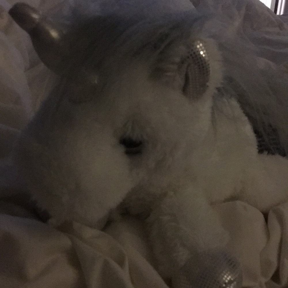 Meet your Posher, Kurt